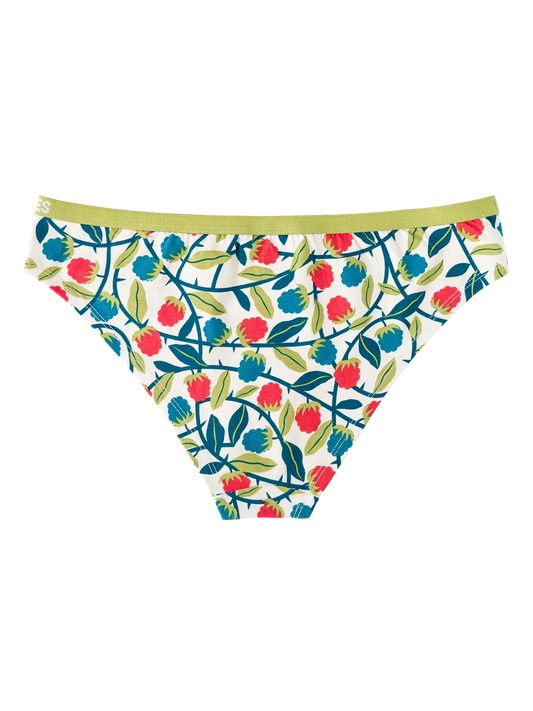 womens-briefs-raspberries-1-1d/1db08599093269dc9c379a6f1e7c141dd9c36098