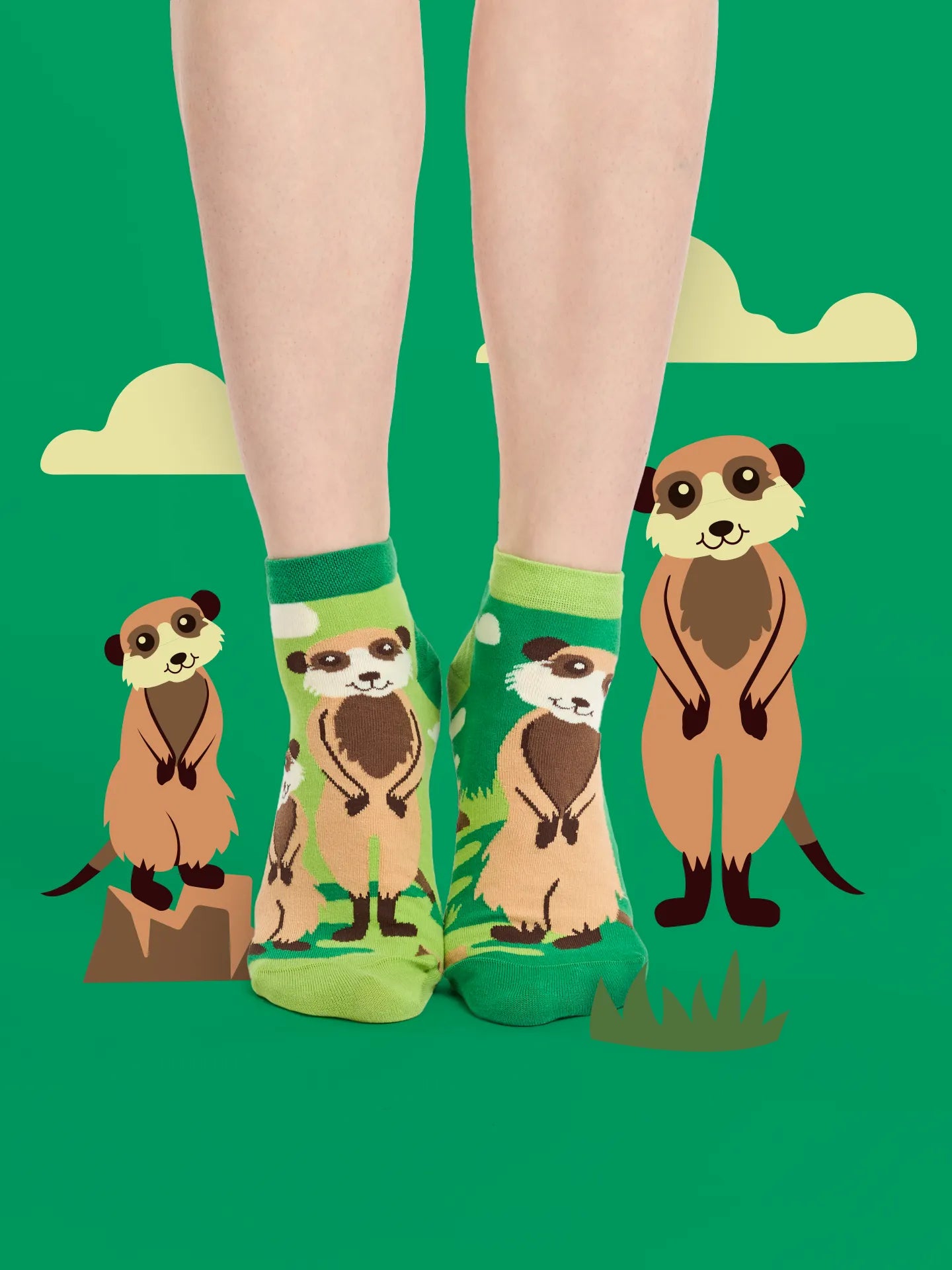 ankle-socks-meerkats-02-24/2458587bb014e1fe7bfd1821ec83ded4b93123f5