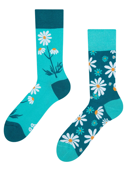 regular-socks-chamomile-2b/2b13708f1594b2c9c54f689f96c631db1f4b2ead