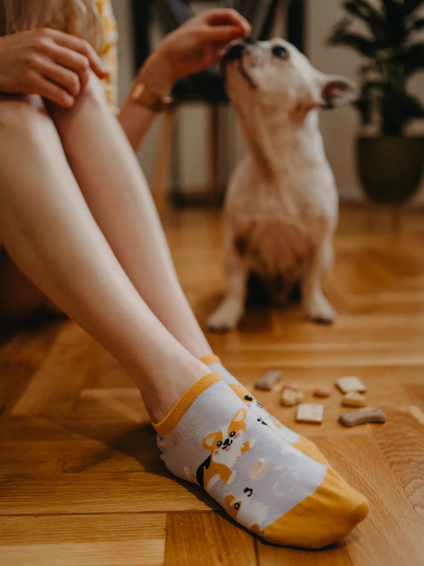 sneaker-socks-corgi-dog-3a/3a2280c2dd9017d76f30f33df4f75262904c9eac