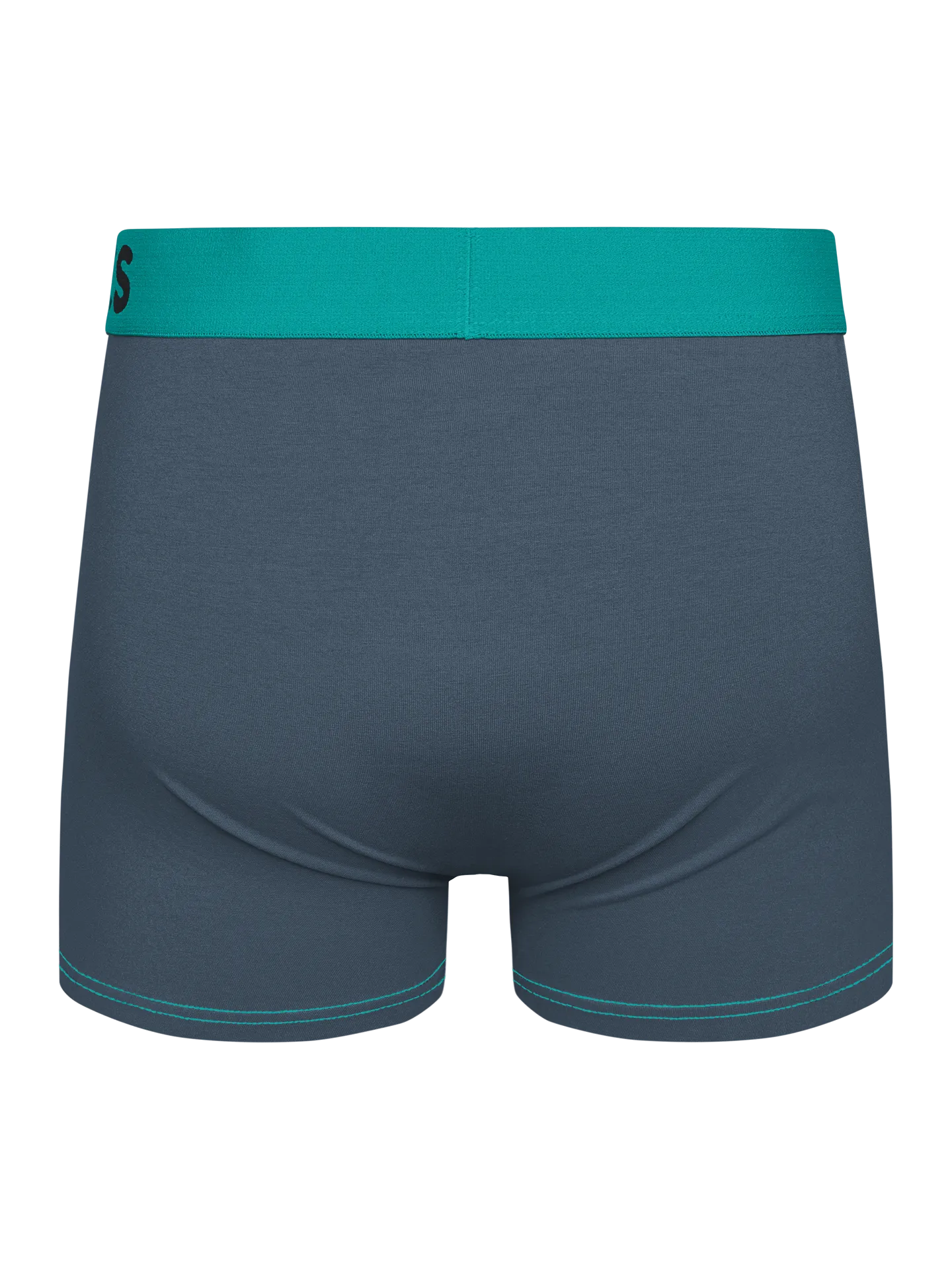 grey-turquoise-mens-trunks-42/42eed90b96f21d2ed5e320c952ff101e203bc2cf