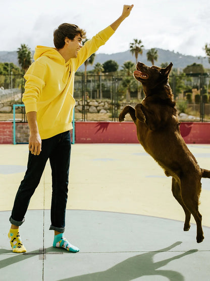 ankle-socks-happy-dog-02-65/65ba279d2c79377bcea106116e6377dc28fba23e