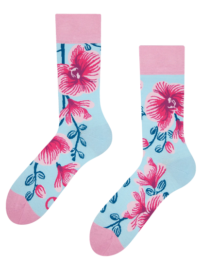 regular-socks-orchid-02-69/69413dbb86d7b57d37eea0bc7fc8e6266dbdf9bc