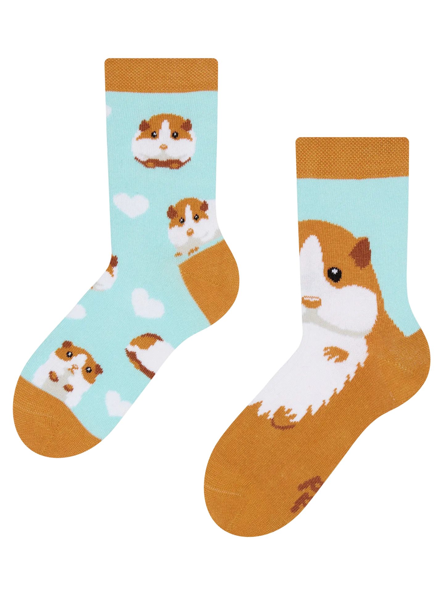 kids-socks-guinea-pig-okt-85/852d2171de7a52939ee0aa6c945d201ebf4179ad