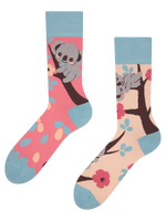 regular-socks-sleepy-koala-b6/b60d3d79cbc539de8af77bce8088f7c4b49991a6