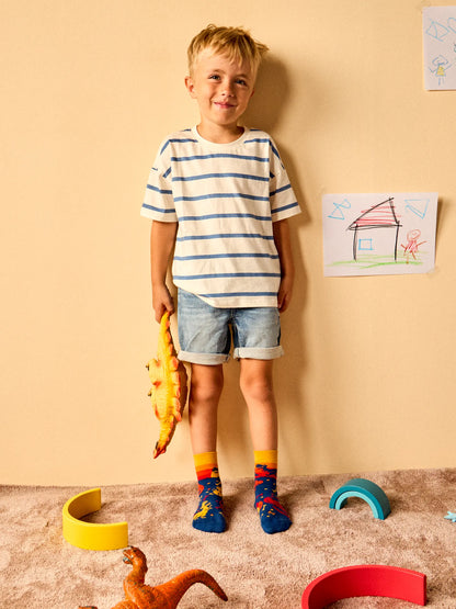 kids-socks-dinosaur-world-1-f9/f93c3e145f56ed991594e0b9ff60493a02afece9